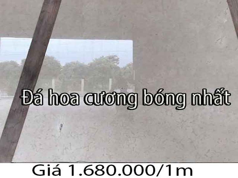 bông đá hoa cương 012