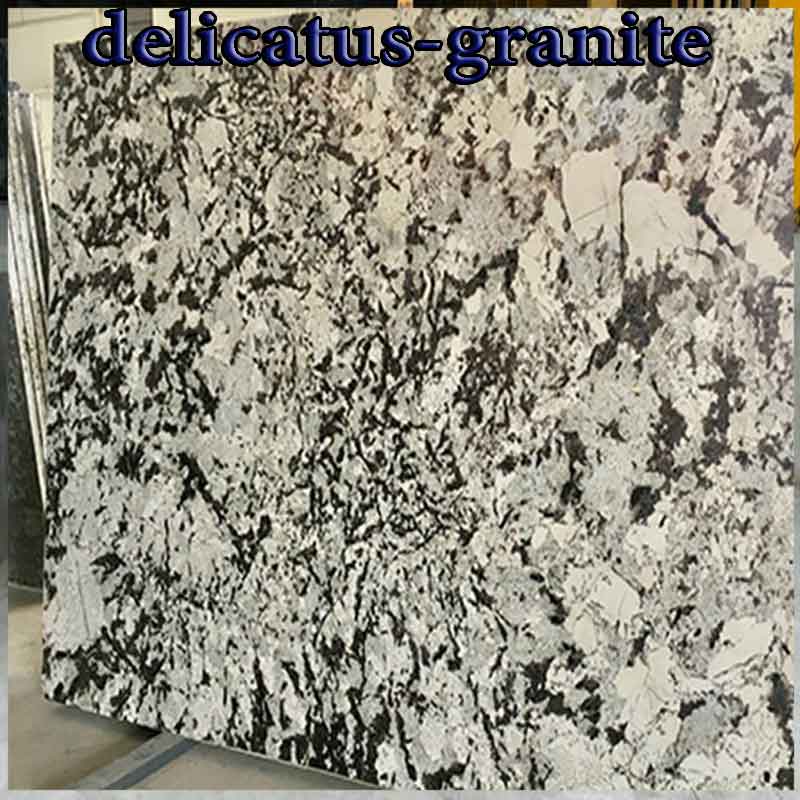 Đá granite delicatus white