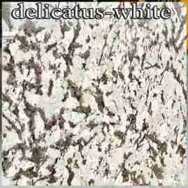 Đá granite delicatus white