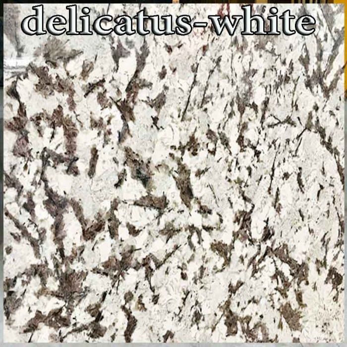 Đá granite delicatus white